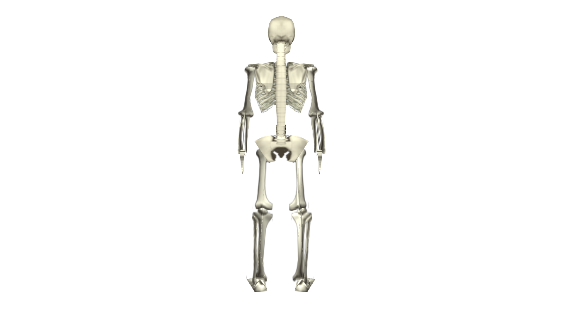 Skeleton Position 3